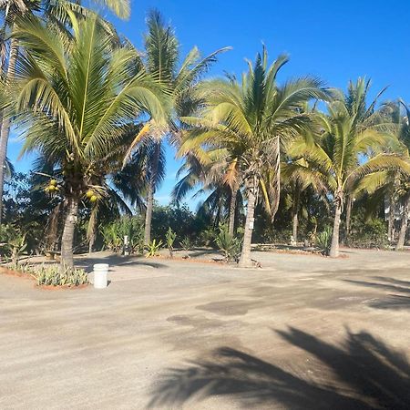 Bungalows Laguna Del Tule San Patricio Melaque Zewnętrze zdjęcie